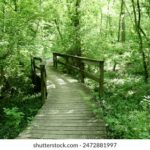 银河网上网址综合评测与对比分析:界面设计、资源质量与用户体验深入解析 bwi5b