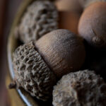 长江国际平台如何促进中外文化交流与合作 dan92ilqa